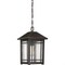 Quoizel Cedar Point Outdoor Hanging Lantern CPT1910PN - alternate 1